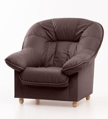 Кресло Aleksandra, коричневое цена и информация | Кресла в гостиную | pigu.lt