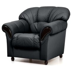 Fotelis Rosa N, juodas kaina ir informacija | Svetainės foteliai | pigu.lt