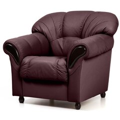 Кресло Rosa N, красное цена и информация | Кресла в гостиную | pigu.lt