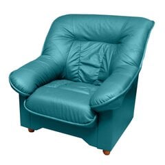 Fotelis Spencer K, mėlynas kaina ir informacija | Svetainės foteliai | pigu.lt