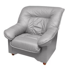 Кресло Spencer K, серое цена и информация | Кресла в гостиную | pigu.lt