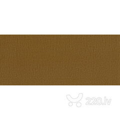 Диван-кровать Aada 2S, коричневый цена и информация | Диваны | pigu.lt