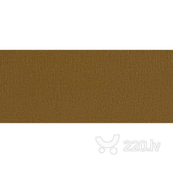 Sofa-lova Aada 2S, ruda kaina ir informacija | Sofos | pigu.lt