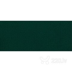 Sofa-lova Aada 2S, žalia kaina ir informacija | Sofos | pigu.lt