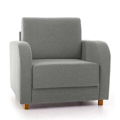 Кресло-кровать Aada цена и информация | Кресла в гостиную | pigu.lt
