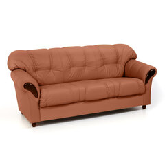 Sofa Rosa 3S, rožinė/tamsiai ruda kaina ir informacija | Sofos | pigu.lt