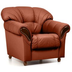 Fotelis Rosa 1S, oranžinis /rudas kaina ir informacija | Svetainės foteliai | pigu.lt