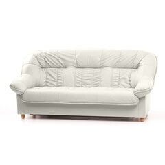 Sofa Aleksandra 3S N, balta kaina ir informacija | Sofos | pigu.lt