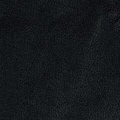 Sofa Aleksandra 3S N, juoda kaina ir informacija | Sofos | pigu.lt