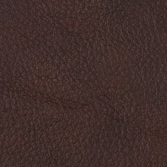 Sofa Chicago 3S, tamsiai ruda kaina ir informacija | Sofos | pigu.lt