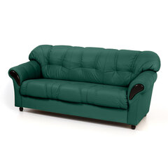 Sofa Rosa 3S, žalia/juoda kaina ir informacija | Sofos | pigu.lt