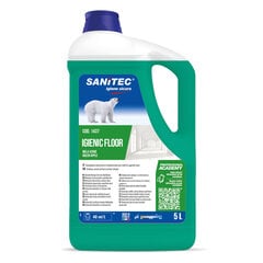 Универсальное моющее средство для полов Sanitec IGIENIC FLOOR Green Apple, 5 л (2) цена и информация | Очистители | pigu.lt
