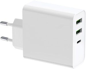 Platinet зарядное устройство USB/USB-C 65W (PLCUPD65W) цена и информация | Зарядные устройства для телефонов | pigu.lt