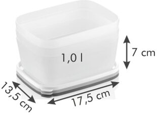 Холодильные контейнеры Tescoma Purity, 1 л, 3 шт. цена и информация | Посуда и принадлежности для консервирования | pigu.lt