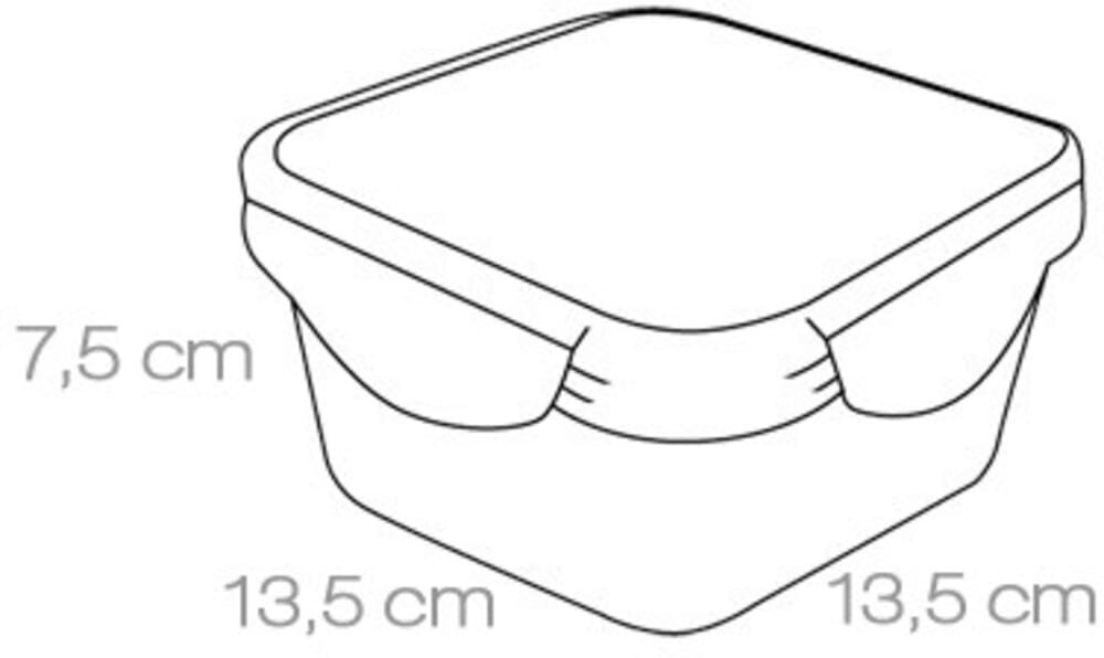 Tescoma Freshbox maisto saugojimo indas, 0.7 l цена и информация | Maisto saugojimo  indai | pigu.lt