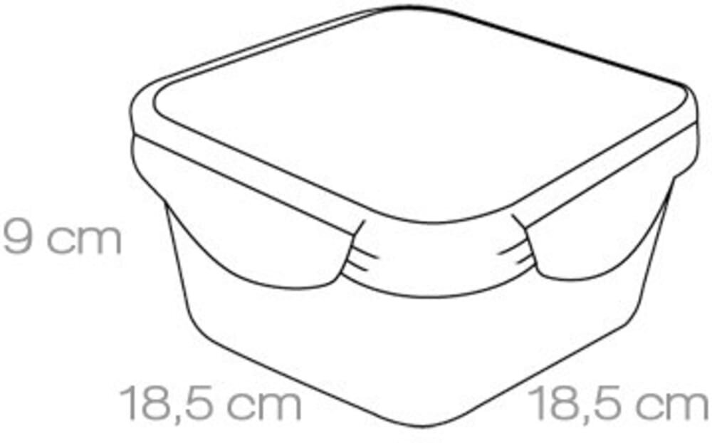 Tescoma Freshbox maisto saugojimo indas, 2.0 l kaina ir informacija | Maisto saugojimo  indai | pigu.lt