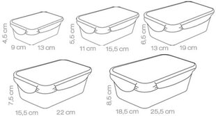 Контейнер для хранения продуктов Tescoma Freshbox, 5 шт. цена и информация | Посуда для хранения еды | pigu.lt
