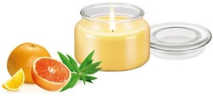 Ароматическая свеча Tescoma Fancy Home, 200 г цена и информация | Подсвечники, свечи | pigu.lt