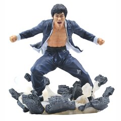 Diamond Select Bruce Lee Gallery Earth PVC kaina ir informacija | Žaidėjų atributika | pigu.lt