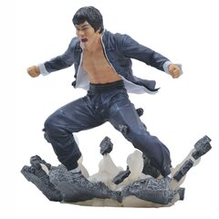 Diamond Select Bruce Lee Gallery Earth PVC kaina ir informacija | Žaidėjų atributika | pigu.lt