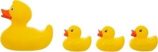 Akuku vonios žaislų rinkinys Ducks 4 vnt., A0162 kaina ir informacija | Žaislai kūdikiams | pigu.lt