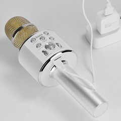 Микрофон Беспроводной караоке-микрофон BK3 Cool sound цена и информация | Микрофоны | pigu.lt