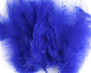 Plunksnos stručio, ryškiai mėlynos 12-17 cm, 20 vnt цена и информация | Принадлежности для изготовления украшений, бисероплетения | pigu.lt