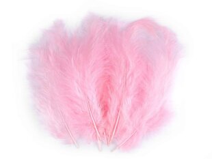 Перья страуса розовые 12-17 см, 20 шт. цена и информация | Принадлежности для изготовления украшений, бисероплетения | pigu.lt