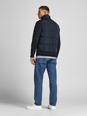 Striukė vyrams Jack&Jones 120212_02066757|99_8, mėlyna цена и информация | Мужские куртки | pigu.lt