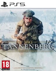WWI Tannenberg: Eastern Front цена и информация | Компьютерные игры | pigu.lt