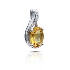 Серебряный (925) кулон с драгоценными камнями цена и информация | Женское колье | pigu.lt
