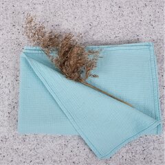 Mėtinės spalvos lininiai rankšluosčiai, 2 vnt., 45x35 cm. kaina ir informacija | Rankšluosčiai | pigu.lt