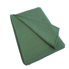 Lininiai rankšluosčiai, 4 vnt, 45x35 cm, žalios spalvos kaina ir informacija | Rankšluosčiai | pigu.lt