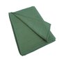Lininiai rankšluosčiai, 2 vnt, 45x65 cm, žalios spalvos kaina ir informacija | Rankšluosčiai | pigu.lt