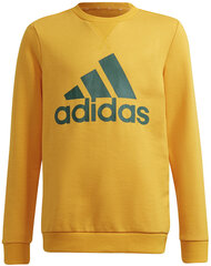 Джемпер Adidas B Bl Sweat Green Yellow GS4274/140 цена и информация | Свитеры, жилетки, пиджаки для мальчиков | pigu.lt