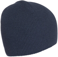 Kepurė vyrams Adidas Perf Beanie Blue GS2114 kaina ir informacija | Vyriški šalikai, kepurės, pirštinės | pigu.lt