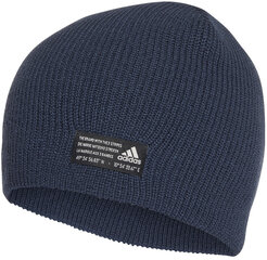 Kepurė vyrams Adidas Perf Beanie Blue GS2114 kaina ir informacija | Vyriški šalikai, kepurės, pirštinės | pigu.lt