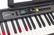 Sintezatorius Casio LK-S250 kaina ir informacija | Klavišiniai muzikos instrumentai | pigu.lt