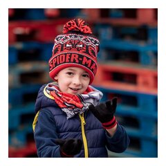 Детская шапка Spiderman, красная цена и информация | Зимняя одежда для детей | pigu.lt