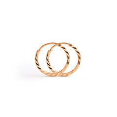Золотые серьги-кольца ZAKA10 цена и информация | Серьги | pigu.lt
