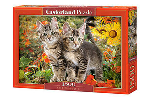 Dėlionė Puzzle Castorland, "KITTEN BUDDIES" 1500 det. kaina ir informacija | Dėlionės (puzzle) | pigu.lt