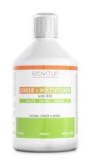 Maisto papildas Biovitup Imbieras+ Multivitaminai su geležimi, 500 ml kaina ir informacija | Vitaminai, maisto papildai, preparatai imunitetui | pigu.lt