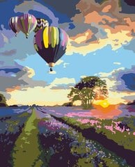 Kартины по номерам «Воздушные шары», 40x50 см цена и информация | Живопись по номерам | pigu.lt