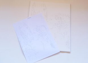 Kартина по номерам «Девушка с пионами 4», 40x50 см цена и информация | Набор для рисования по номерам | pigu.lt