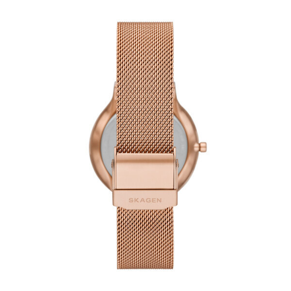 Laikrodis moterims Skagen SKW3020 kaina ir informacija | Moteriški laikrodžiai | pigu.lt