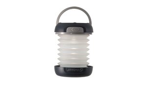 Фонарь для кемпинга Outwell Pegasus Solar Lantern цена и информация | Фонари и прожекторы | pigu.lt