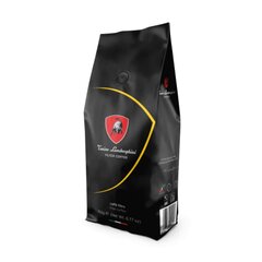 Молотый кофе Lamborghini Ground Coffee Filter, 192g цена и информация | Кофе, какао | pigu.lt