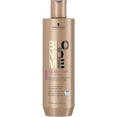 Шампунь для тонких и нормальных волос SCHWARZKOPF BLONDME ALL BLONDES LIGHT, 300мл цена и информация | Шампуни | pigu.lt