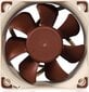 Noctua NF A6x25 kaina ir informacija | Kompiuterių ventiliatoriai | pigu.lt