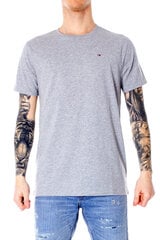 Marškinėliai vyrams Tommy Hilfiger BFN-G-166816 kaina ir informacija | Vyriški marškinėliai | pigu.lt